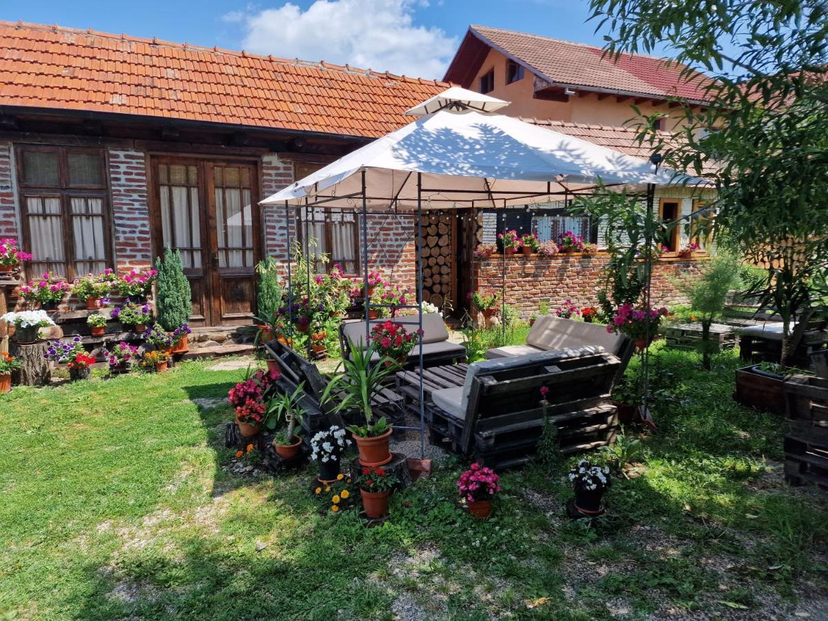 Old Court Villa Curtea De Arges Bagian luar foto