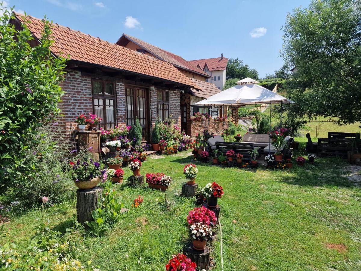 Old Court Villa Curtea De Arges Bagian luar foto
